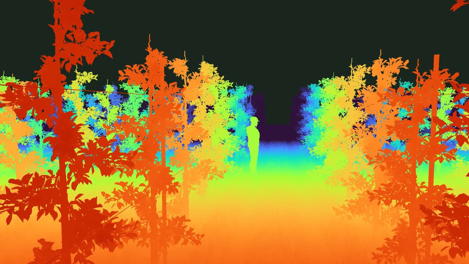 The same frame as a depth map, near trees in red and the far end of the row in blue
